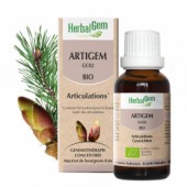 Artigem Bio - 50ml