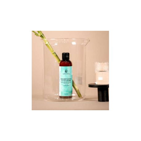 Shampoing ô velours