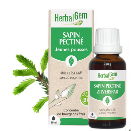 Sapin Pectiné bourgeons Bio - 50ml