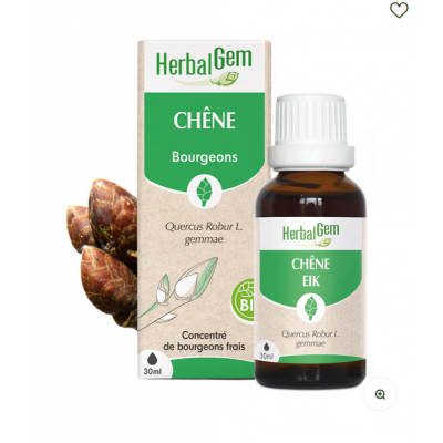 Chêne bourgeons Bio - 50ml