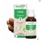 Chêne bourgeons Bio - 50ml
