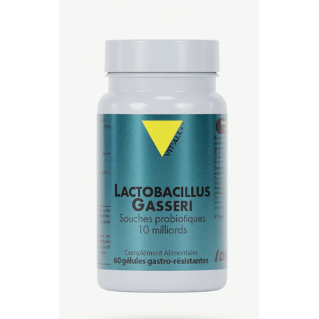 Lactobacillus Gasseri Probiotiques