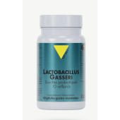 Lactobacillus Gasseri Probiotiques