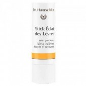 Stick Eclat des Lèvres Bio - 4,9 g
