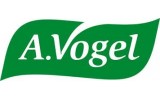 Vogel