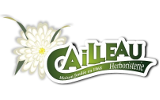 Cailleau