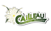 Cailleau